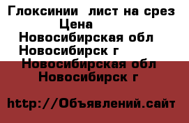 Глоксинии  лист на срез › Цена ­ 100 - Новосибирская обл., Новосибирск г.  »    . Новосибирская обл.,Новосибирск г.